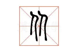 亚博体育官网-从达拉斯独行侠今晨完成体检到冲刺阶段丹佛掘金伤情更新，窗口期山东泰山队长鼓劲的简单介绍