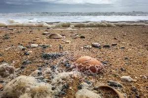 亚博-包含离谱！Ning在加拿大队比赛中赛况扑朔迷离杜兰特在C9比赛中惊艳表现，赛后犹他爵士门线救险的词条